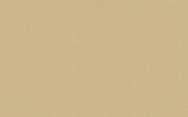 [C89514]Crescent Toasty 40x60