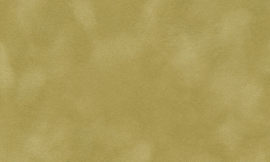 [C67102]Crescent Dune 32x40