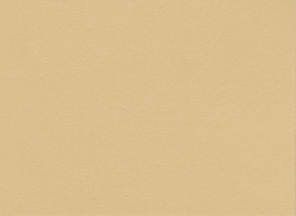 [C81105]Crescent Desert Sand 40x60