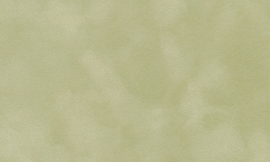 [C87183]Crescent Moccasin 40x60