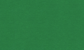 [C9537]Crescent Envy 32x40