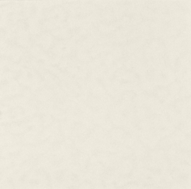 [A4984]Artique Berber (Ripple) 32