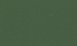 [C1703]Crescent Foxhunt Green 32x40